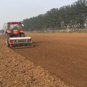 博亿堂官网驱动耙播种机播种现场及出苗情况