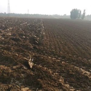 博亿堂官网驱动耙播种机作业效果-作业环境